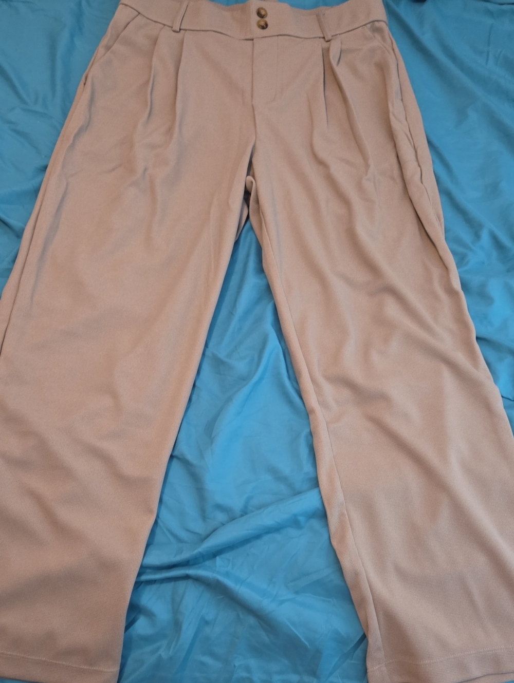 High Waisted Pleated Halara Trousers in Gray L